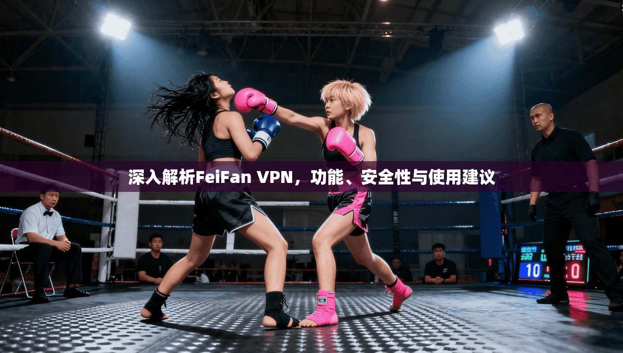 深入解析FeiFan VPN，功能、安全性与使用建议