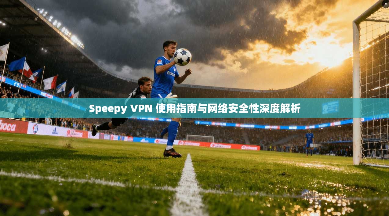 Speepy VPN 使用指南与网络安全性深度解析