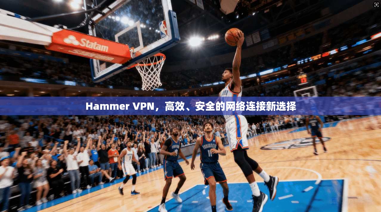 Hammer VPN，高效、安全的网络连接新选择