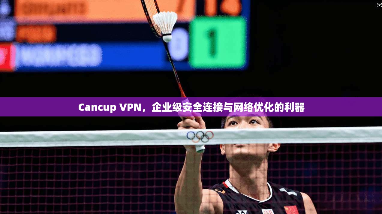 Cancup VPN，企业级安全连接与网络优化的利器