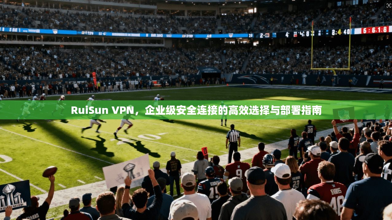 RuiSun VPN，企业级安全连接的高效选择与部署指南