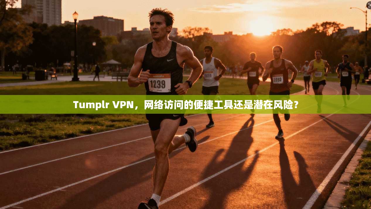 Tumplr VPN，网络访问的便捷工具还是潜在风险？