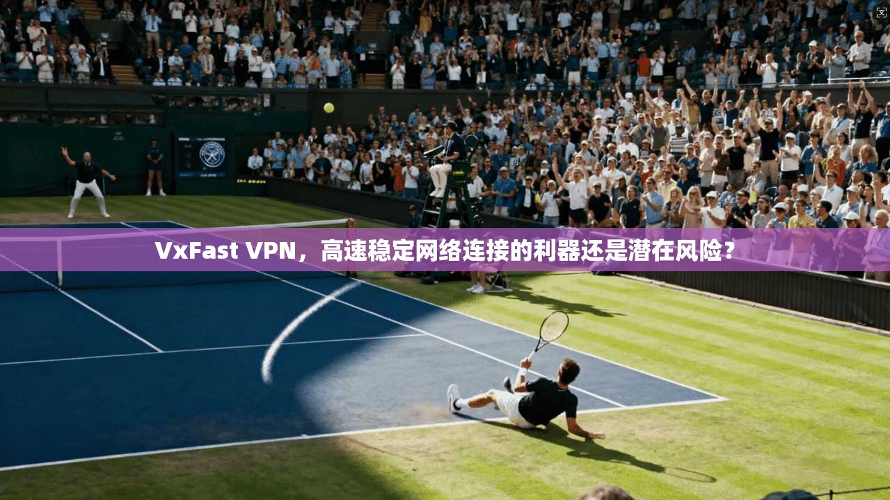VxFast VPN，高速稳定网络连接的利器还是潜在风险？