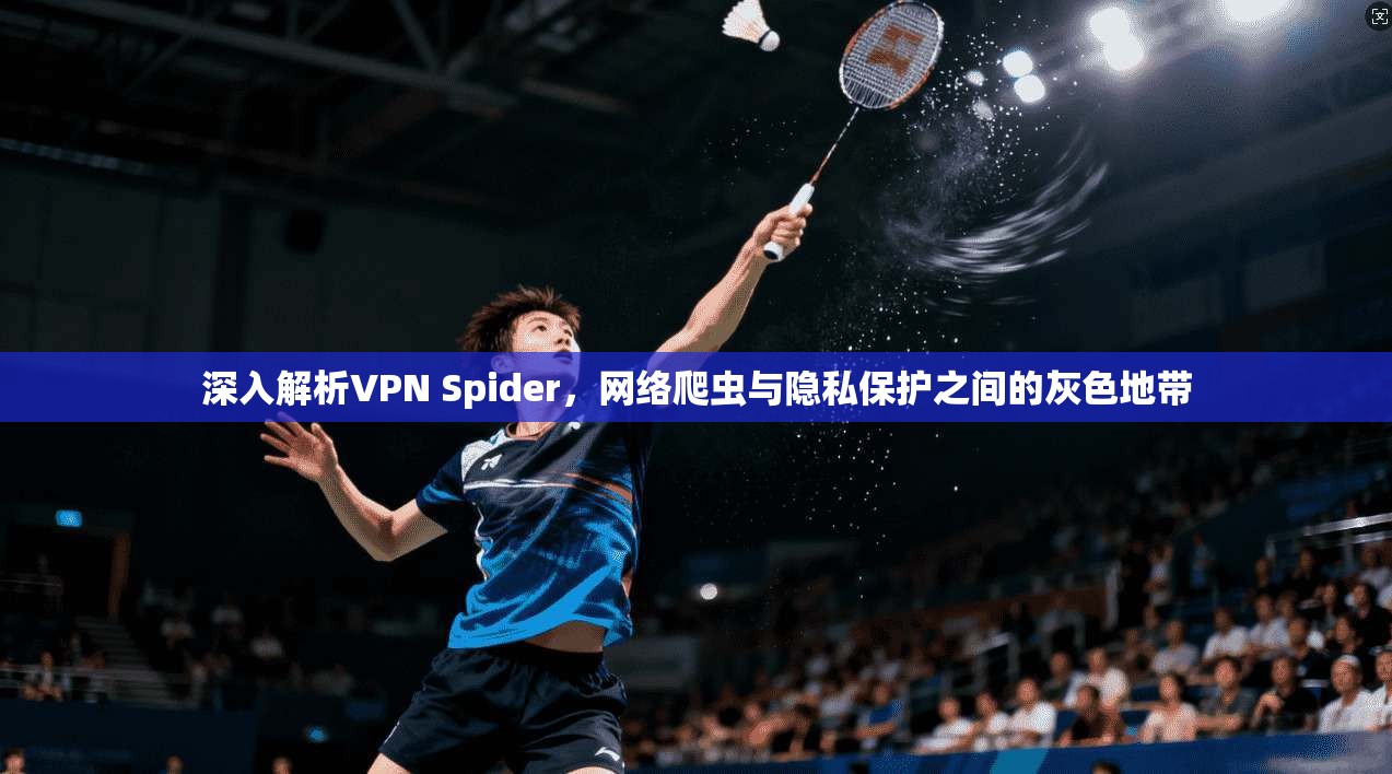 深入解析VPN Spider，网络爬虫与隐私保护之间的灰色地带