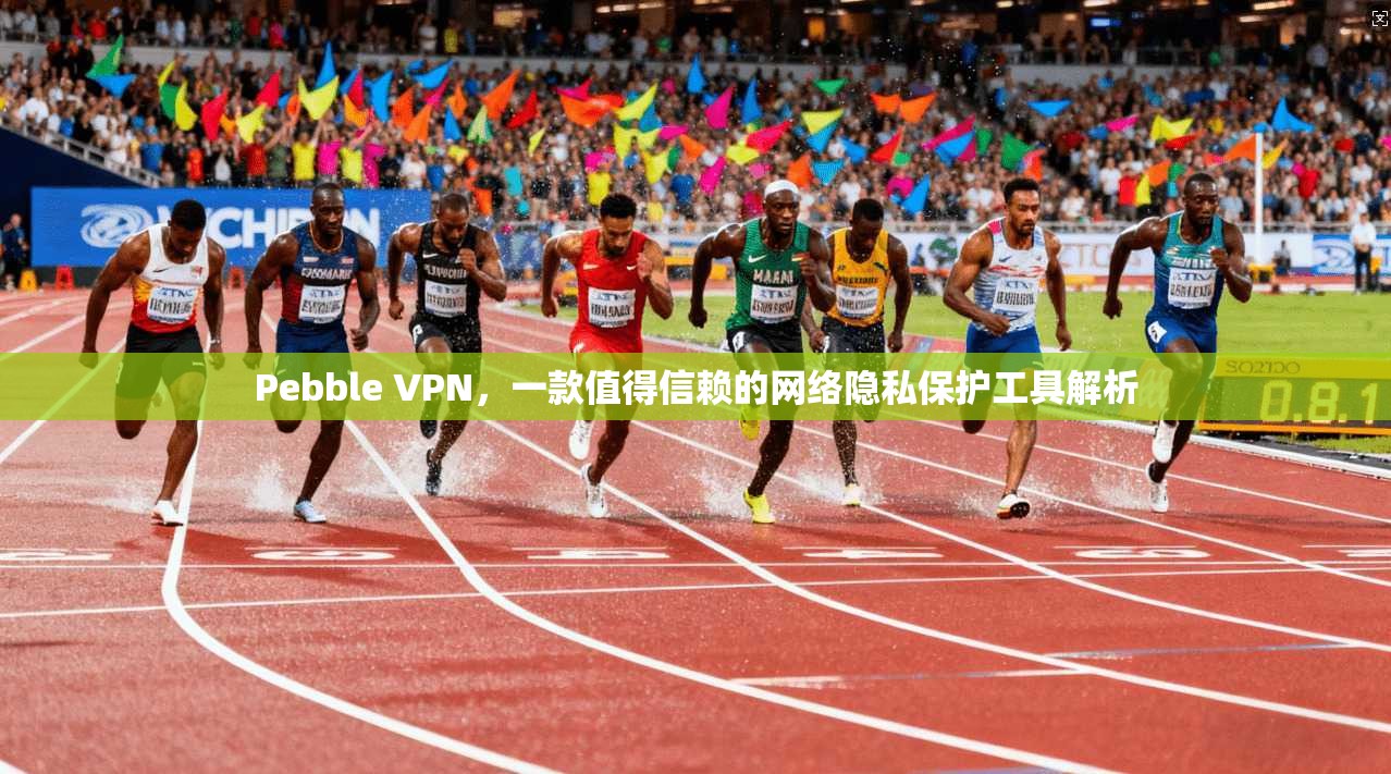Pebble VPN，一款值得信赖的网络隐私保护工具解析