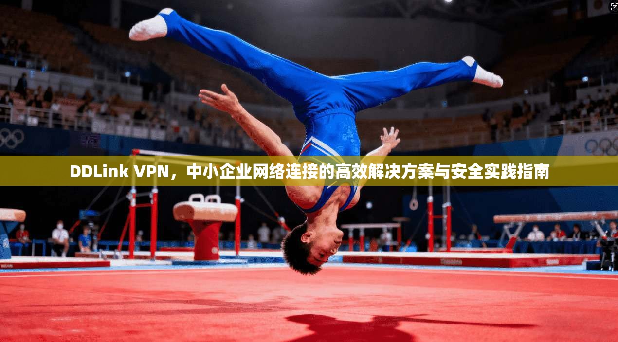 DDLink VPN，中小企业网络连接的高效解决方案与安全实践指南