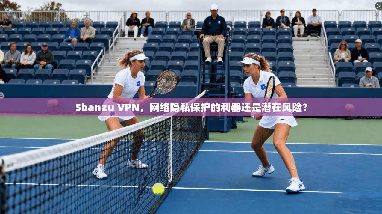 Sbanzu VPN，网络隐私保护的利器还是潜在风险？