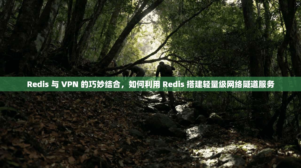 Redis 与 VPN 的巧妙结合，如何利用 Redis 搭建轻量级网络隧道服务