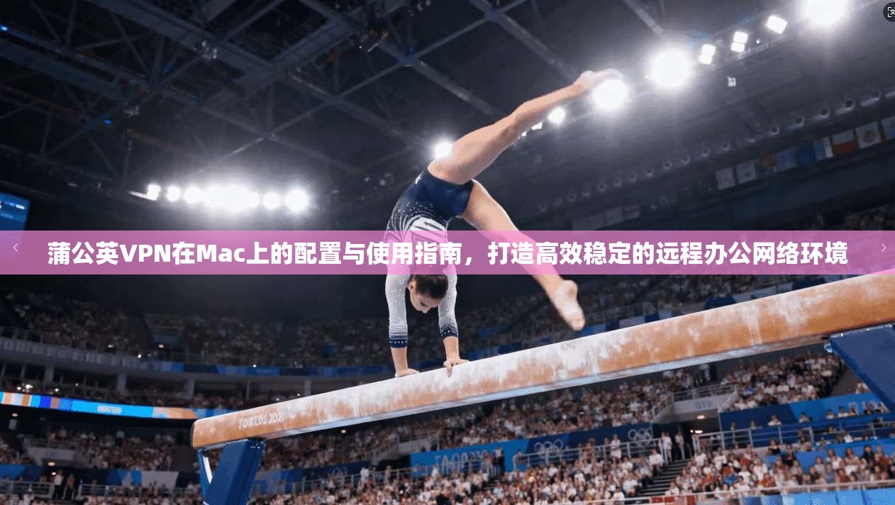 蒲公英VPN在Mac上的配置与使用指南，打造高效稳定的远程办公网络环境