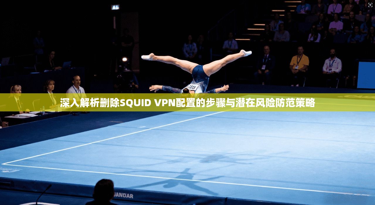 深入解析删除SQUID VPN配置的步骤与潜在风险防范策略