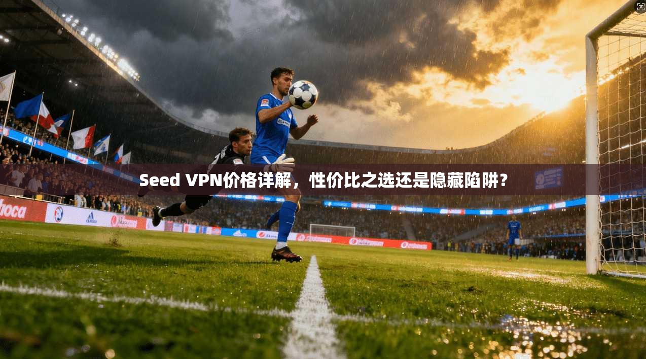 Seed VPN价格详解，性价比之选还是隐藏陷阱？