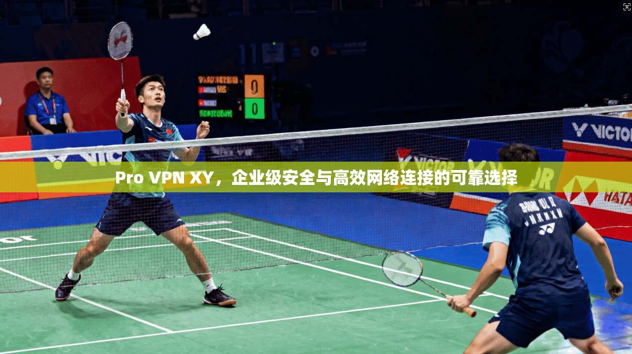 Pro VPN XY，企业级安全与高效网络连接的可靠选择