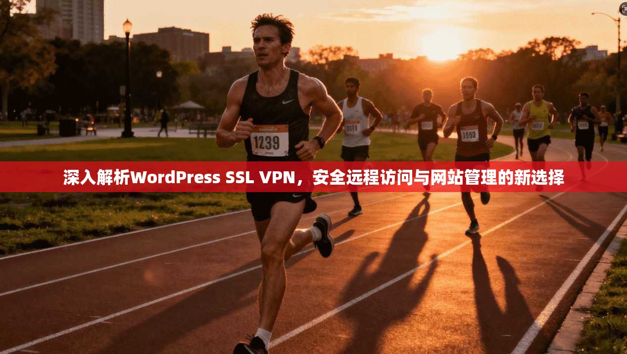 深入解析WordPress SSL VPN，安全远程访问与网站管理的新选择