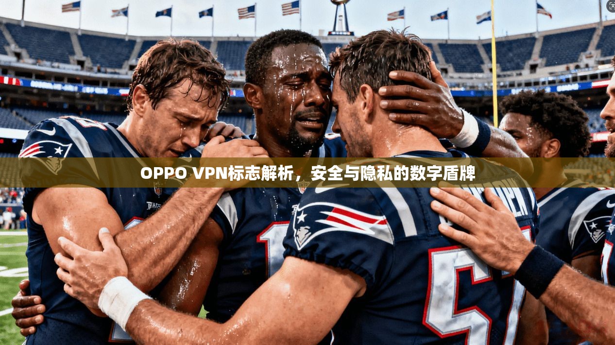 OPPO VPN标志解析，安全与隐私的数字盾牌