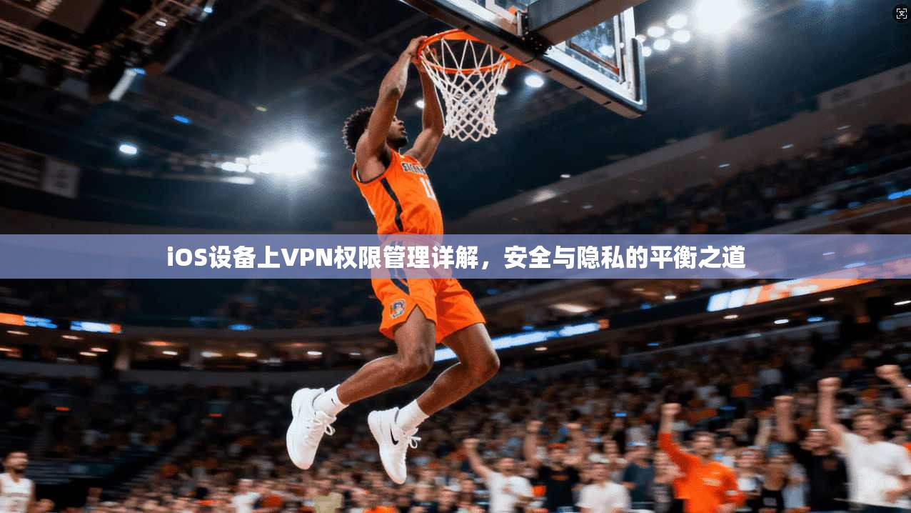 iOS设备上VPN权限管理详解，安全与隐私的平衡之道