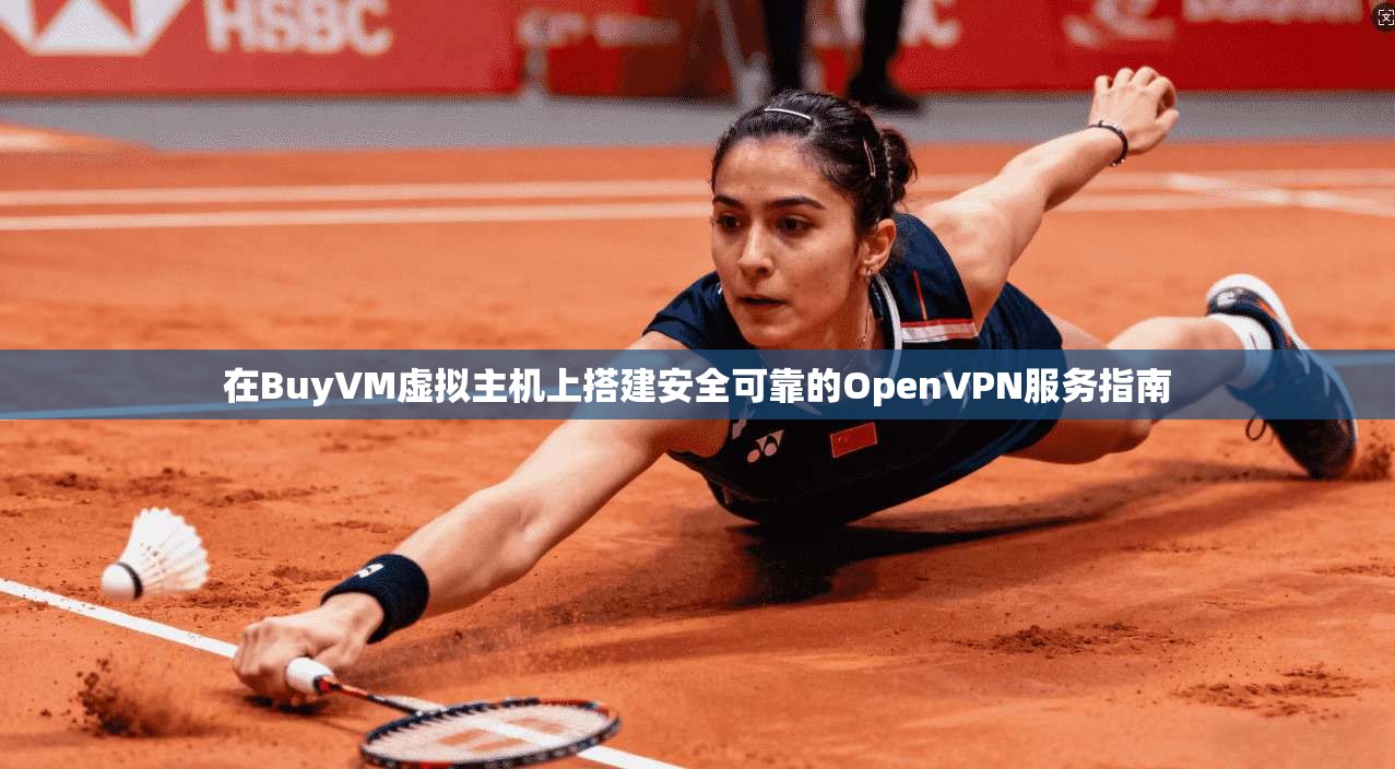 在BuyVM虚拟主机上搭建安全可靠的OpenVPN服务指南