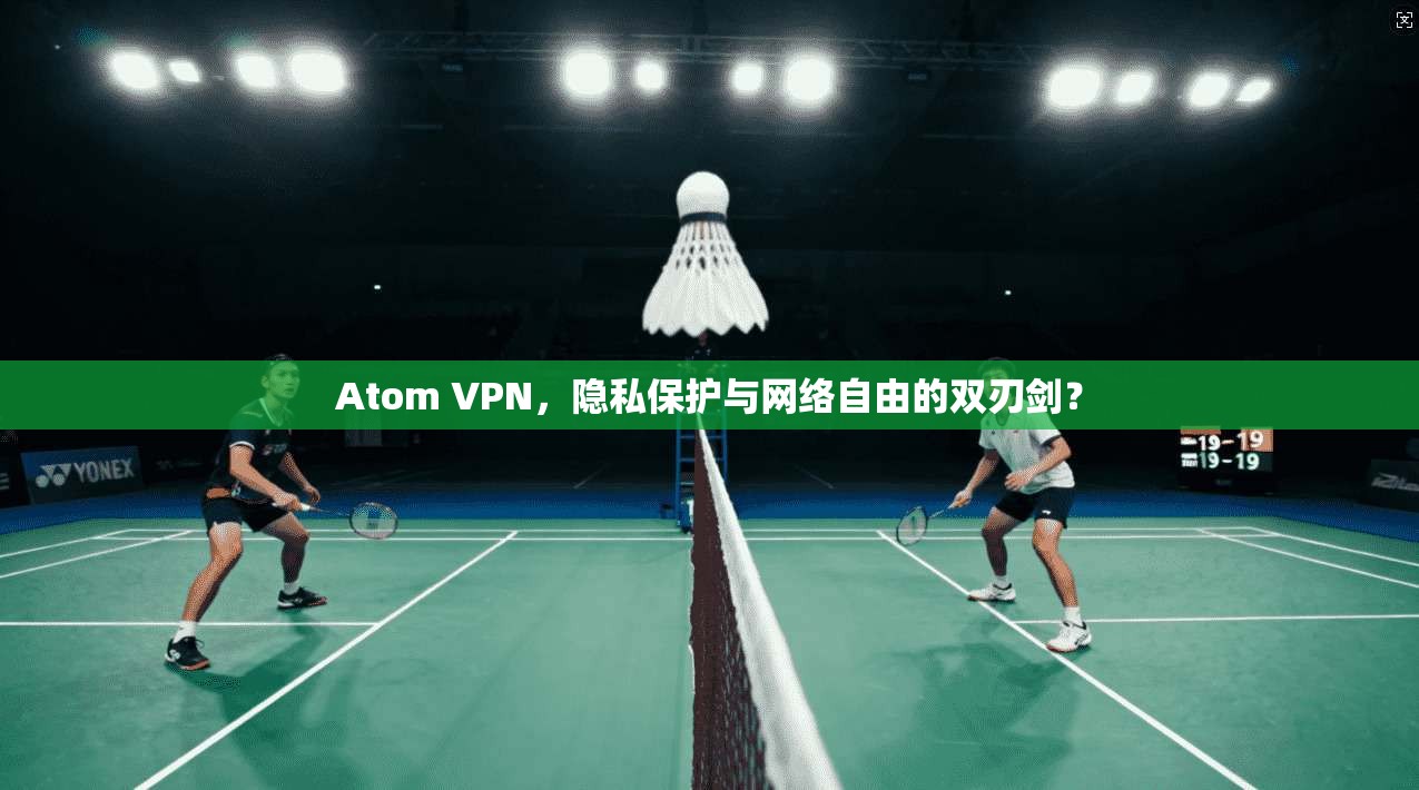 Atom VPN，隐私保护与网络自由的双刃剑？