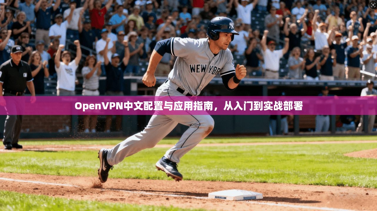 OpenVPN中文配置与应用指南，从入门到实战部署