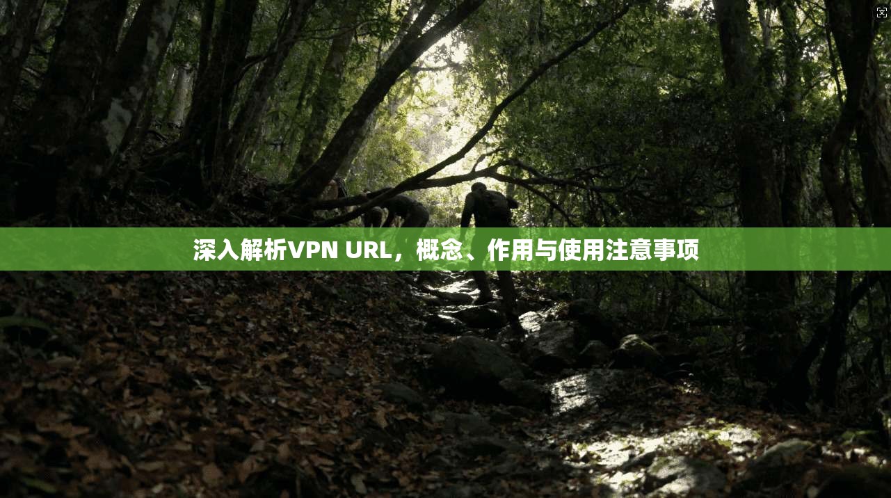 深入解析VPN URL，概念、作用与使用注意事项