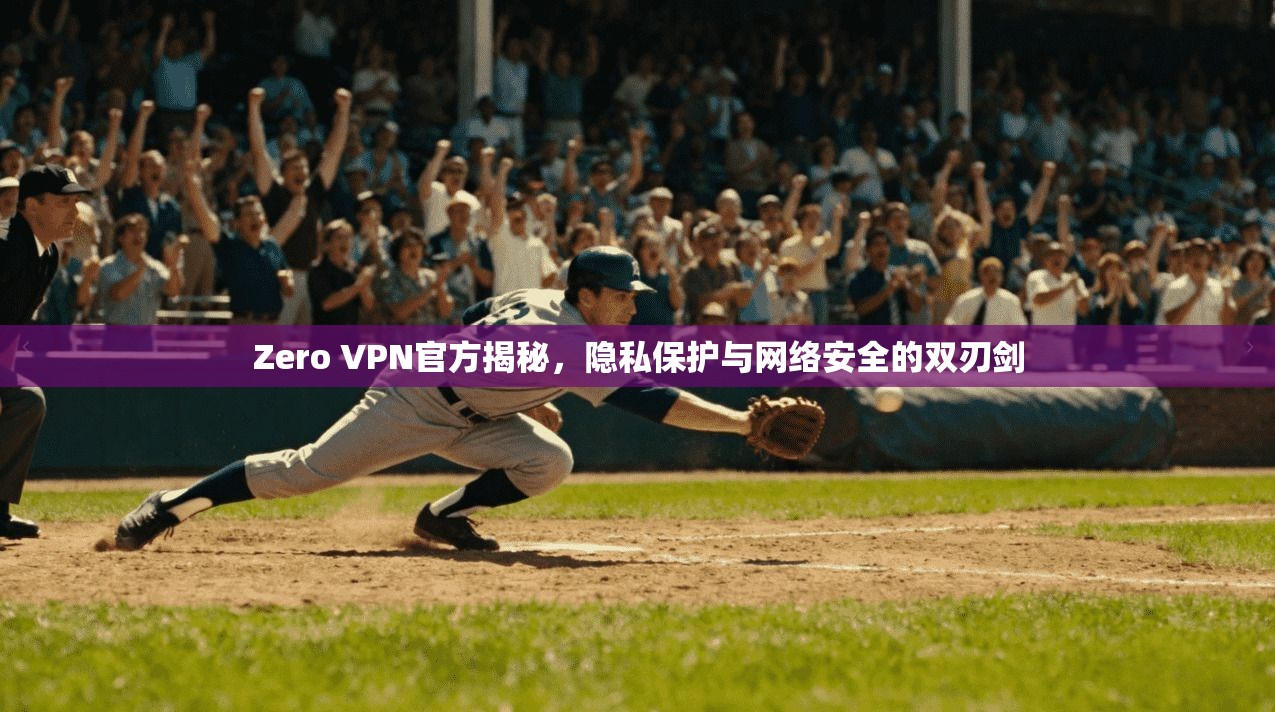 Zero VPN官方揭秘，隐私保护与网络安全的双刃剑