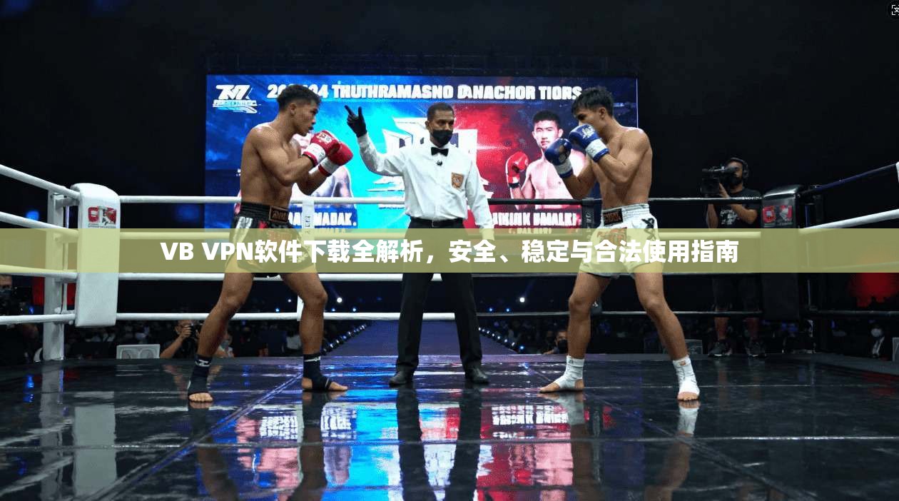 VB VPN软件下载全解析，安全、稳定与合法使用指南