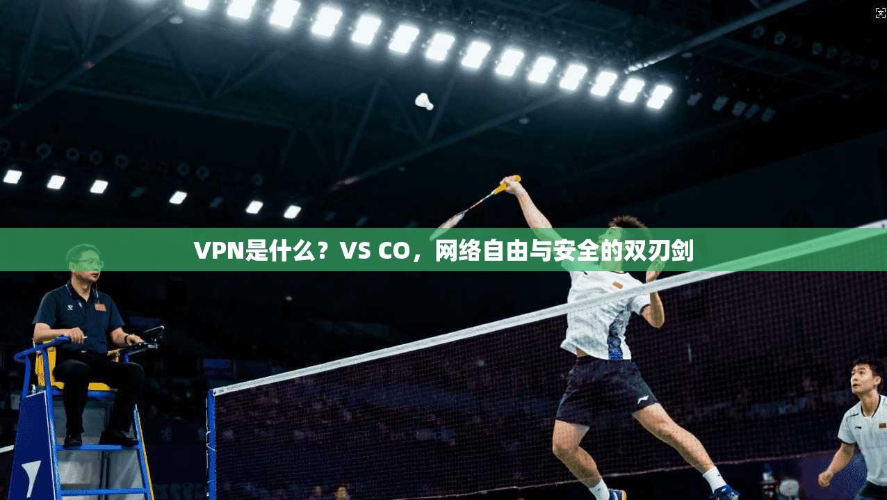 VPN是什么？VS CO，网络自由与安全的双刃剑