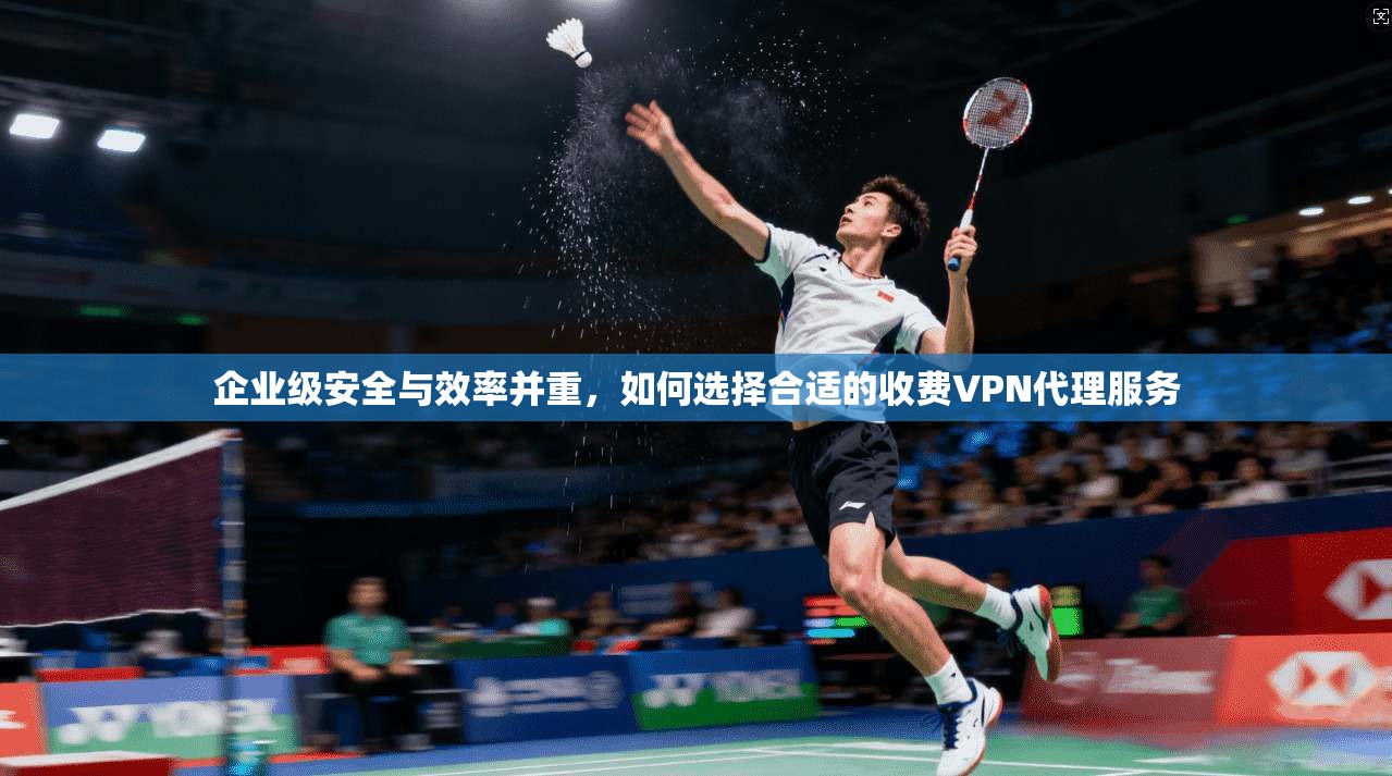 企业级安全与效率并重，如何选择合适的收费VPN代理服务
