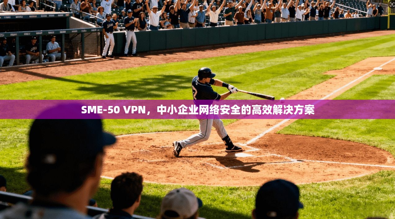 SME-50 VPN，中小企业网络安全的高效解决方案