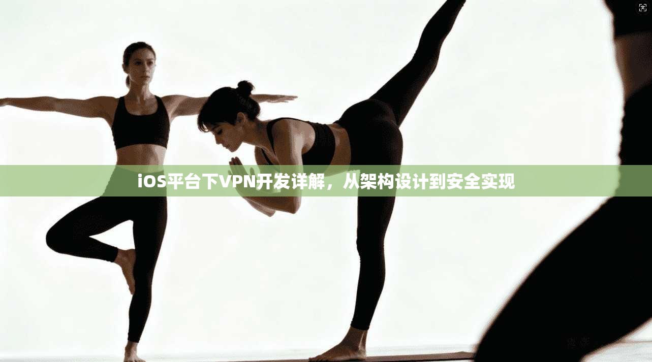 iOS平台下VPN开发详解,从架构设计到安全实现