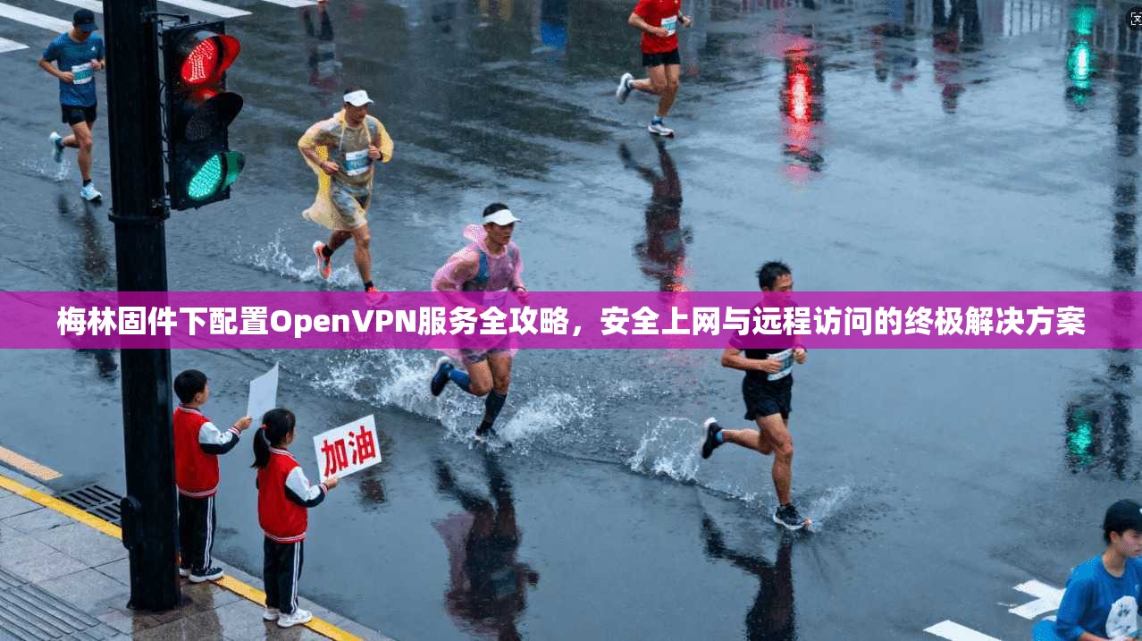 梅林固件下配置OpenVPN服务全攻略，安全上网与远程访问的终极解决方案
