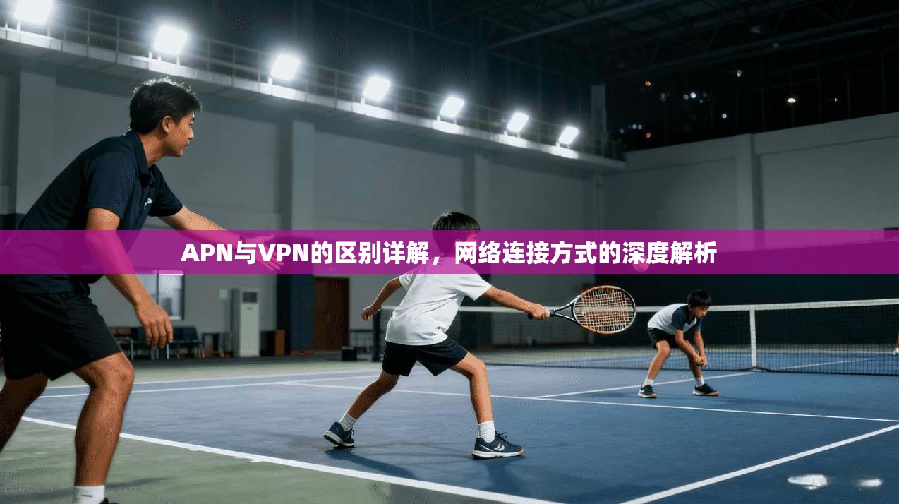 APN与VPN的区别详解，网络连接方式的深度解析