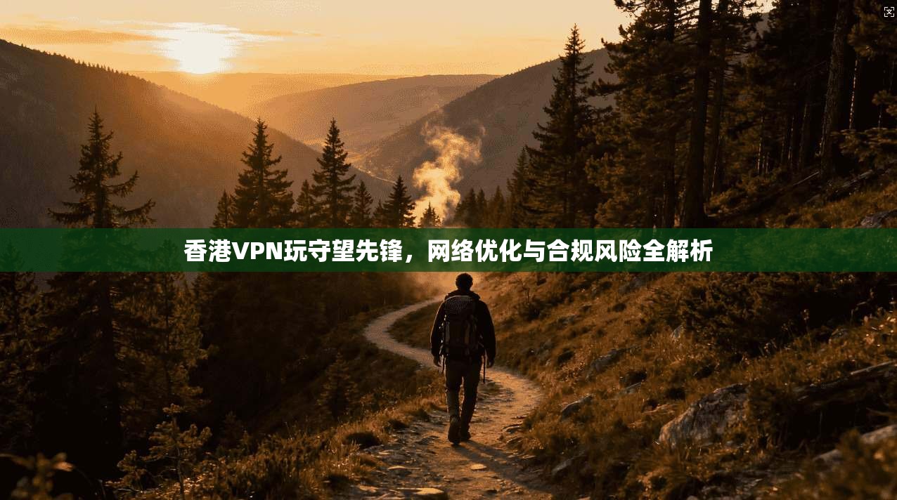 香港VPN玩守望先锋，网络优化与合规风险全解析