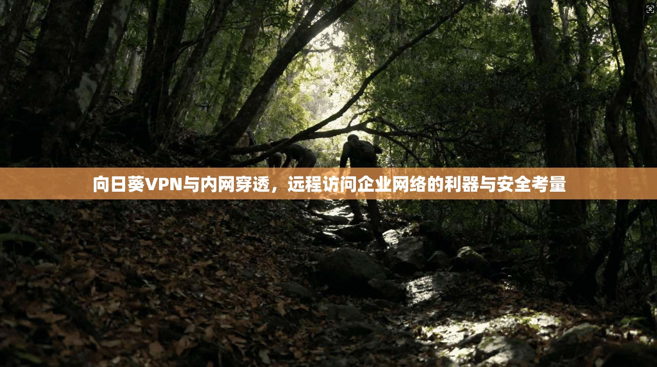 向日葵VPN与内网穿透，远程访问企业网络的利器与安全考量