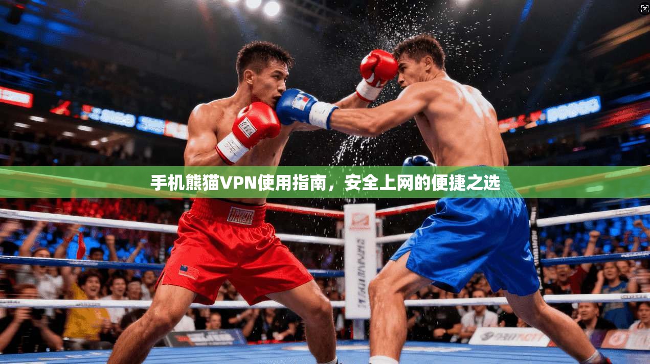 手机熊猫VPN使用指南，安全上网的便捷之选