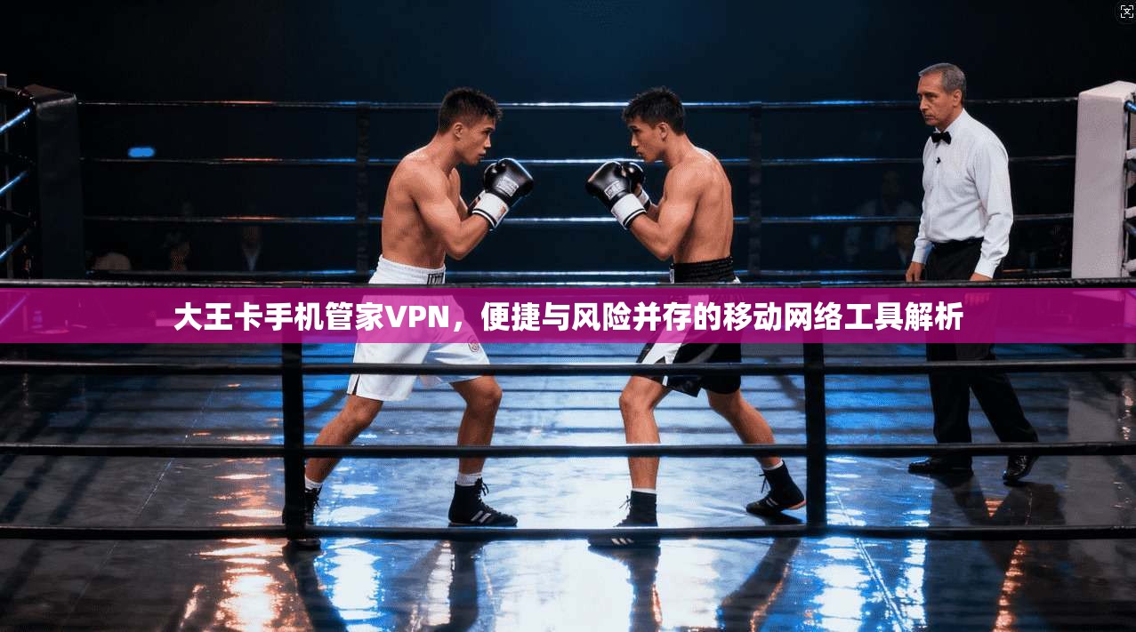 大王卡手机管家VPN，便捷与风险并存的移动网络工具解析