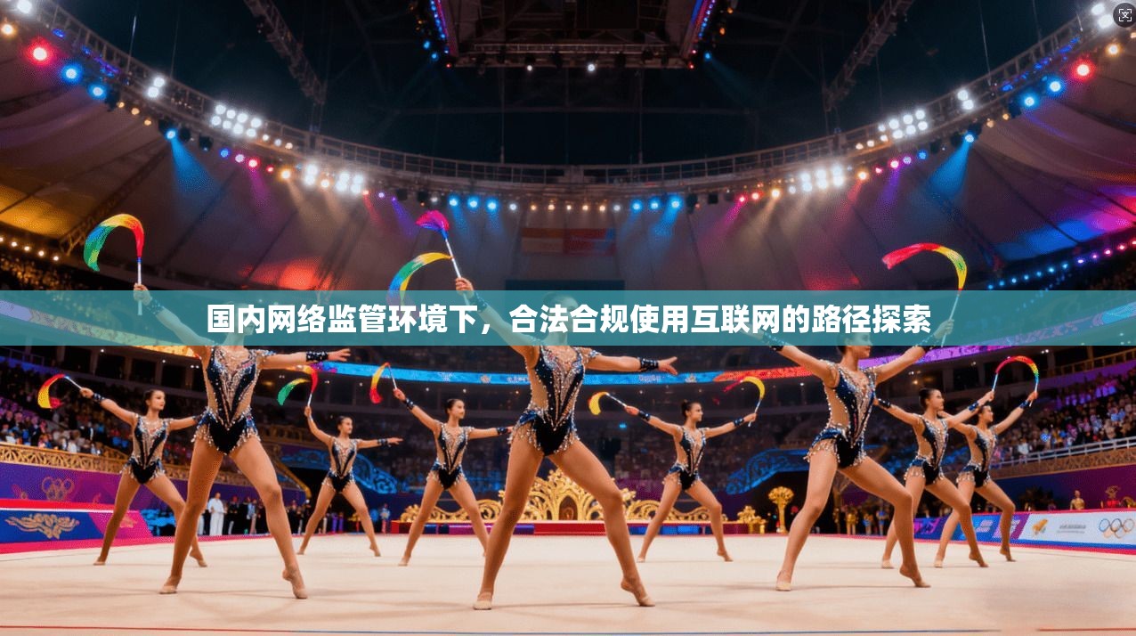 国内网络监管环境下,合法合规使用互联网的路径探索