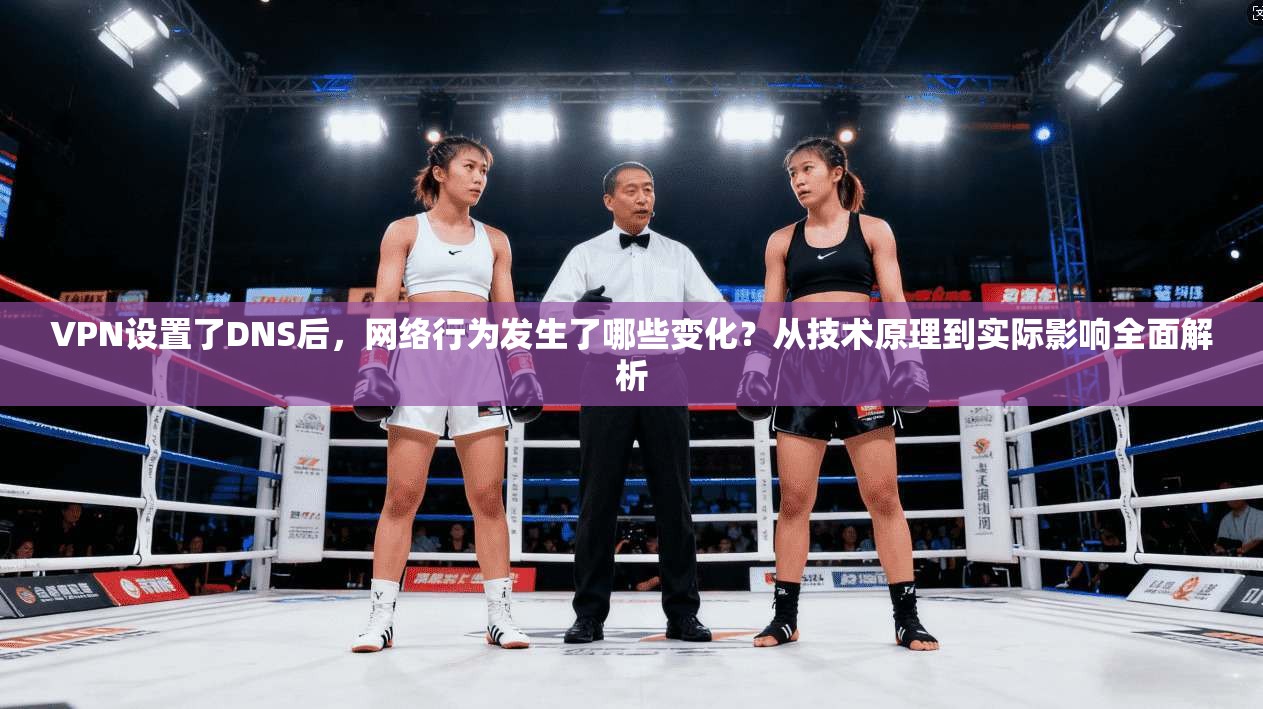 VPN设置了DNS后,网络行为发生了哪些变化?从技术原理到实际影响全面解析