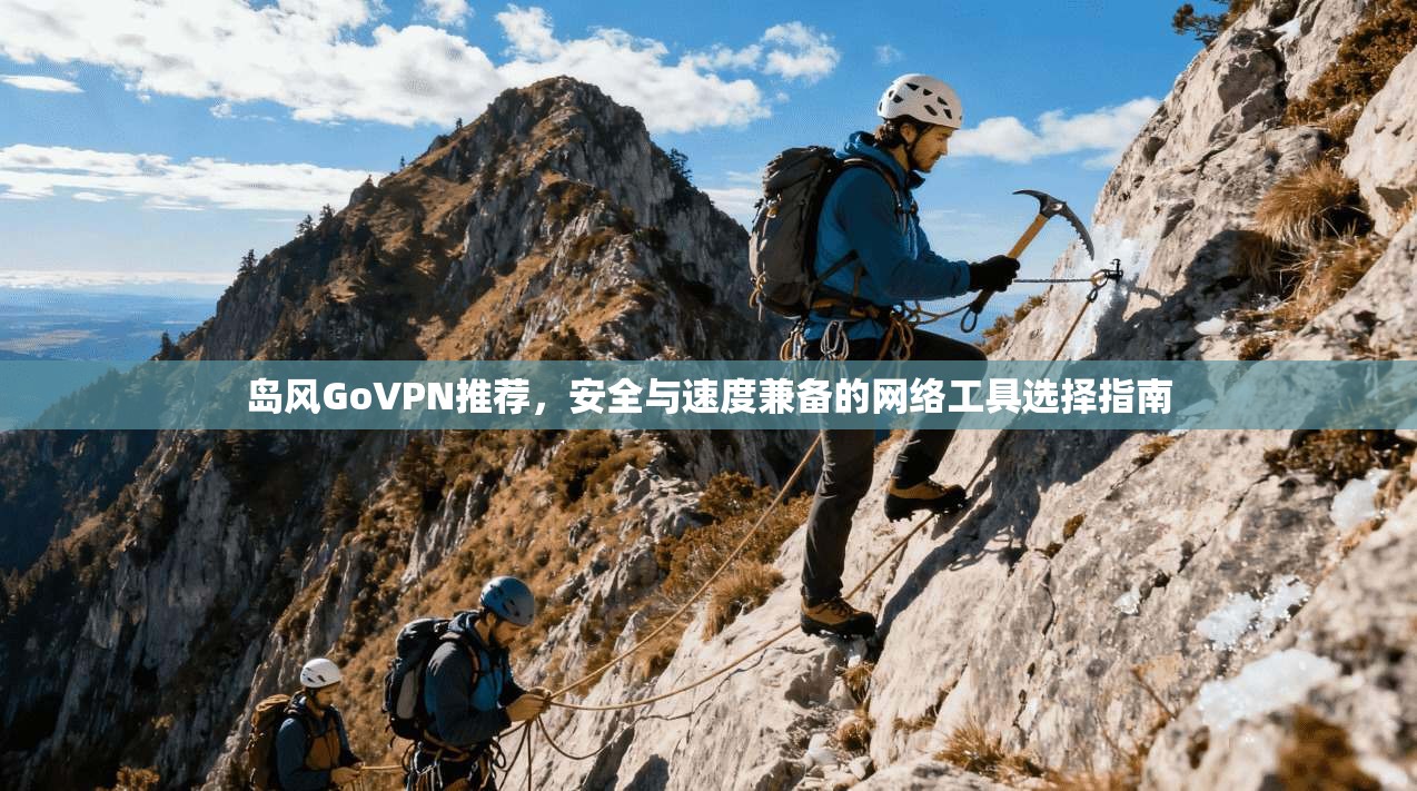 岛风GoVPN推荐,安全与速度兼备的网络工具选择指南
