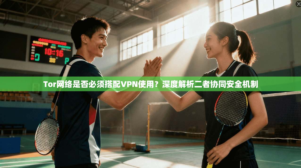 Tor网络是否必须搭配VPN使用？深度解析二者协同安全机制