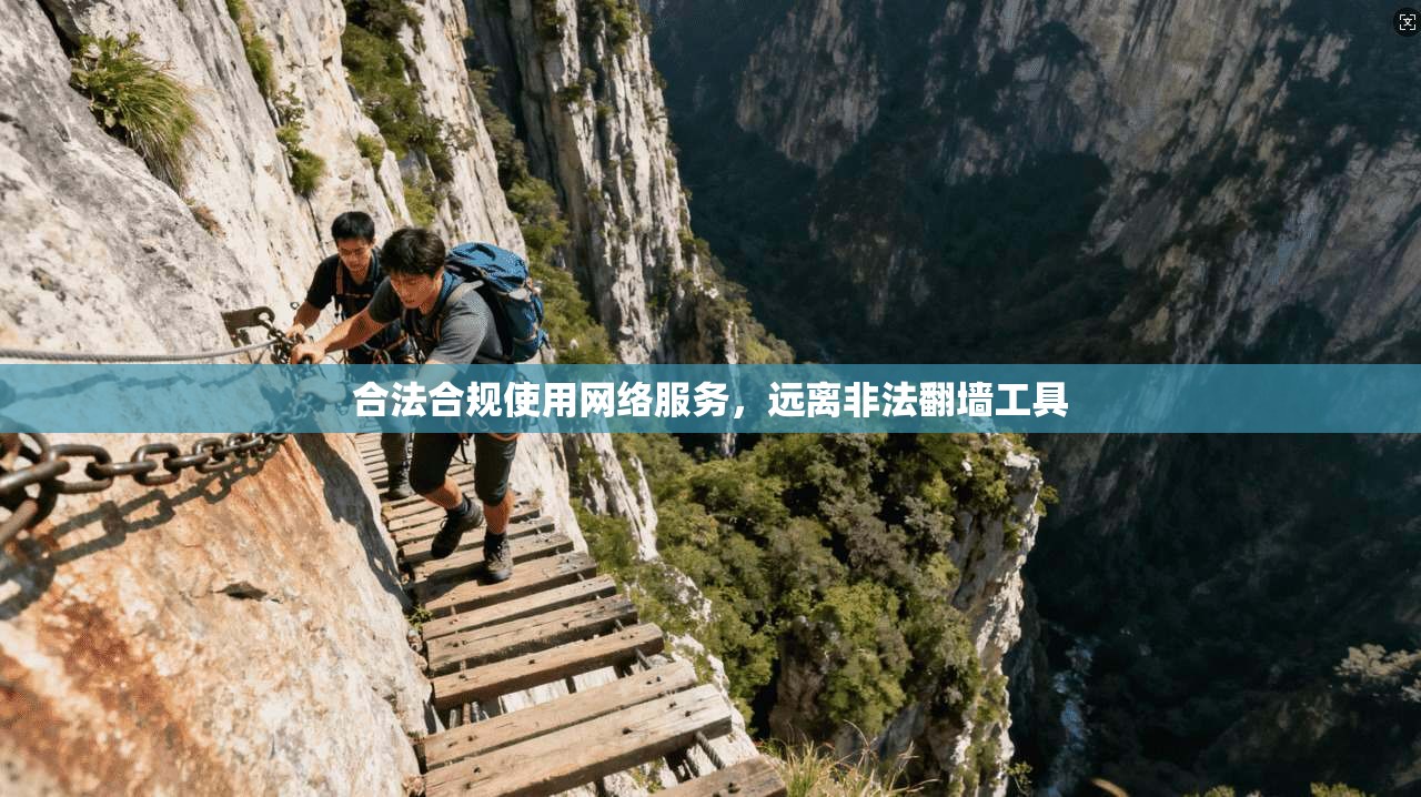 合法合规使用网络服务，远离非法翻墙工具
