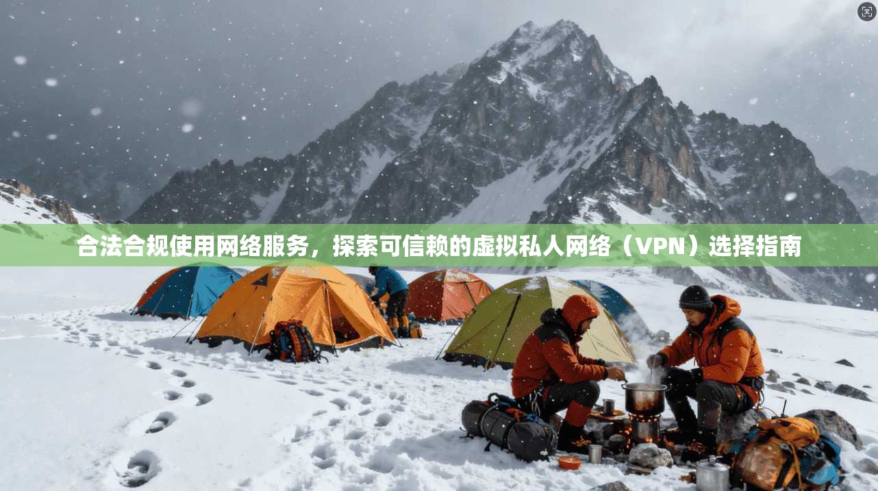 合法合规使用网络服务，探索可信赖的虚拟私人网络（VPN）选择指南