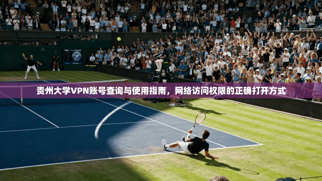 贵州大学VPN账号查询与使用指南,网络访问权限的正确打开方式
