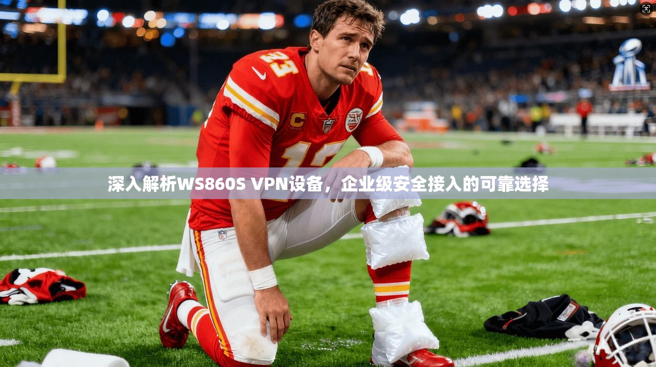 深入解析WS860S VPN设备，企业级安全接入的可靠选择