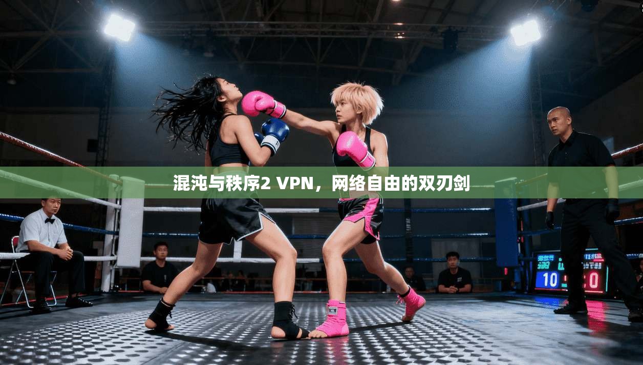 混沌与秩序2 VPN，网络自由的双刃剑