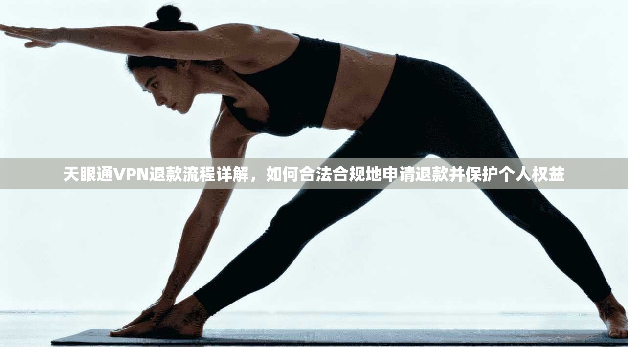 天眼通VPN退款流程详解，如何合法合规地申请退款并保护个人权益