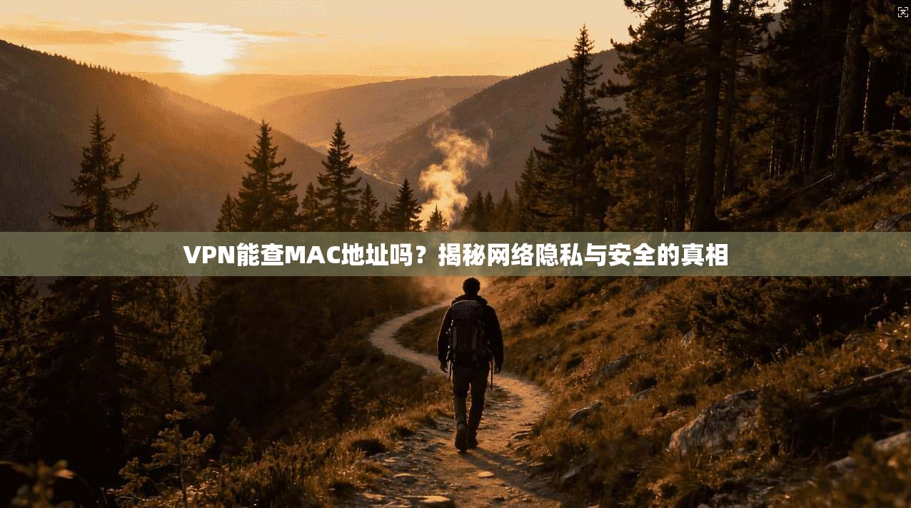 VPN能查MAC地址吗？揭秘网络隐私与安全的真相