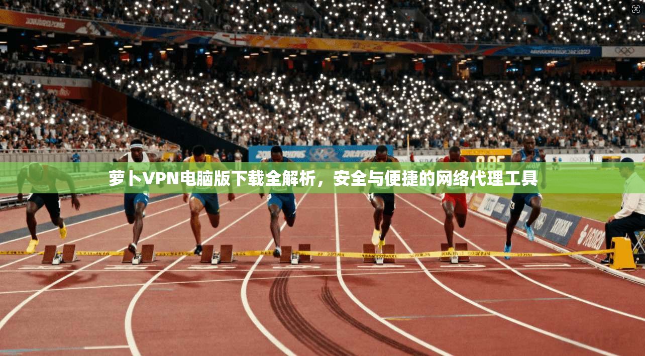 萝卜VPN电脑版下载全解析，安全与便捷的网络代理工具