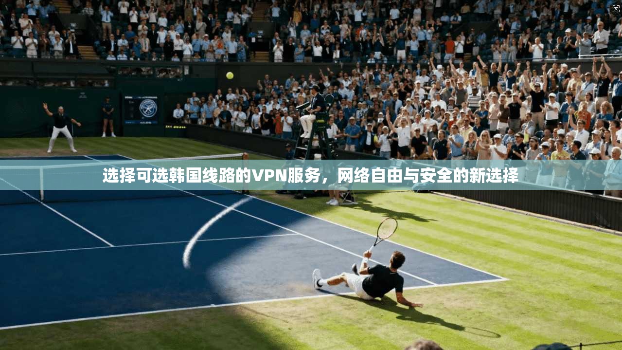 选择可选韩国线路的VPN服务，网络自由与安全的新选择