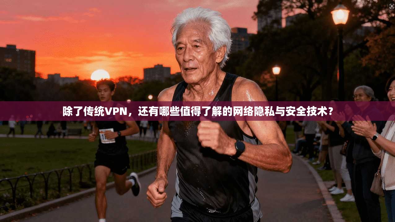 除了传统VPN,还有哪些值得了解的网络隐私与安全技术?