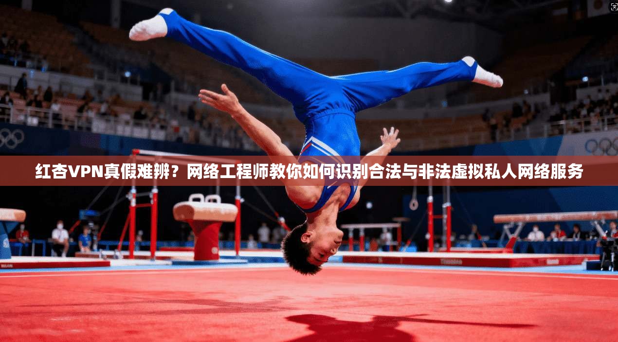 红杏VPN真假难辨？网络工程师教你如何识别合法与非法虚拟私人网络服务